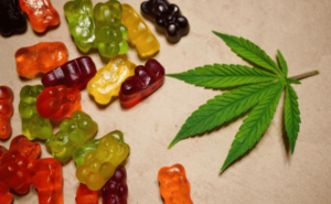The Ultimate Guide: What to Look for When Buying CBD Gummies