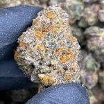 Finding THCA Flower Near Me for Better Wellness