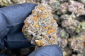 Finding THCA Flower Near Me for Better Wellness