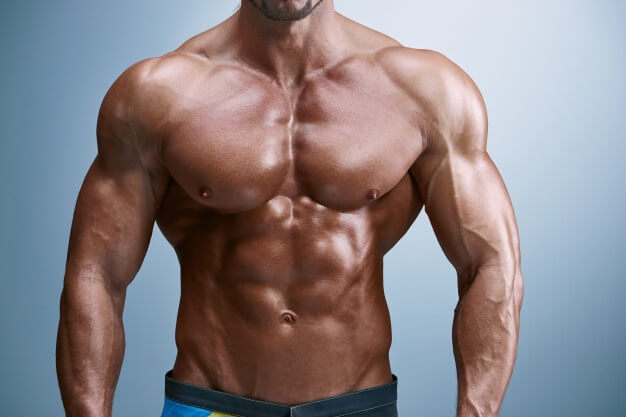 The Science and Strategy of Bodybuilding